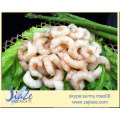 seafood frozen shrimp red shrimp iqf